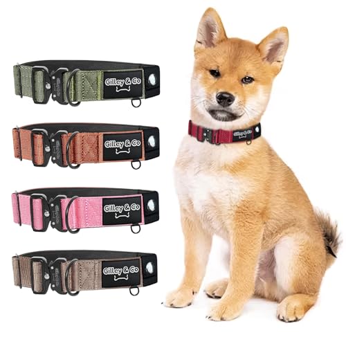 GIlley&Co Premium-Hundehalsband mit AirTag-Tasche – Verstellbares, strapazierfähiges Halsband mit Schnellverschluss-Metallschnalle (Rosy Red, klein) von Gilley & Co