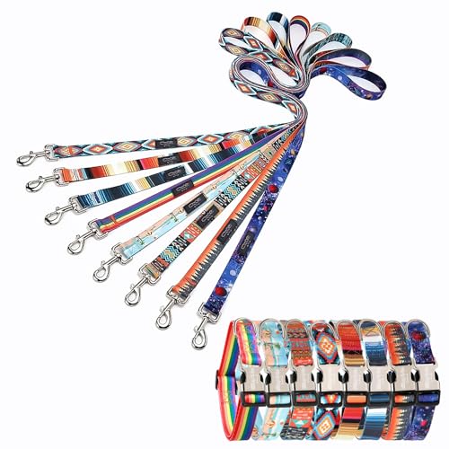 Gilley&Co Hundehalsband und Leine, 8 Designs, 4 Größen mit Edelstahl-Schnalle (Beachside Breeze, L) von Gilley & Co