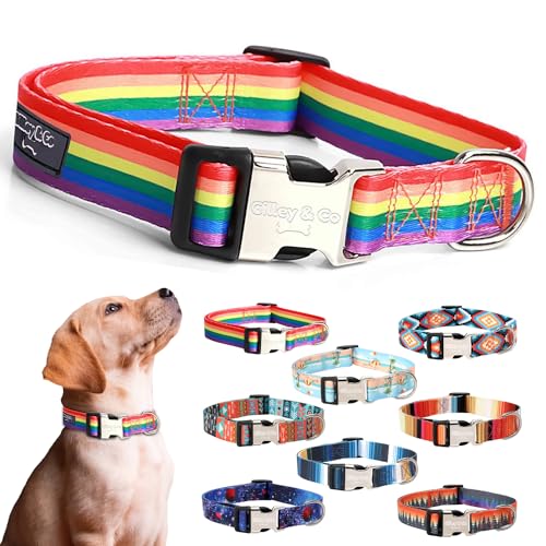 Gilley&Co Hundehalsband und Leine, 8 Designs, 4 Größen mit Edelstahl-Schnalle (Regenbogen-Rillen, Größe S) von Gilley & Co