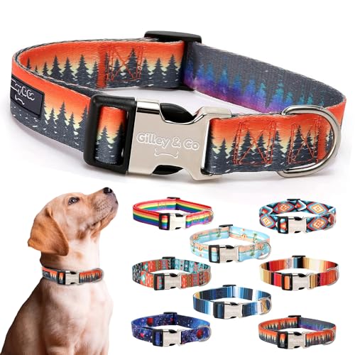 Gilley&Co Hundehalsband und Leine, 8 Designs, 4 Größen mit Edelstahl-Schnalle (Sunrise Summit, klein) von Gilley & Co