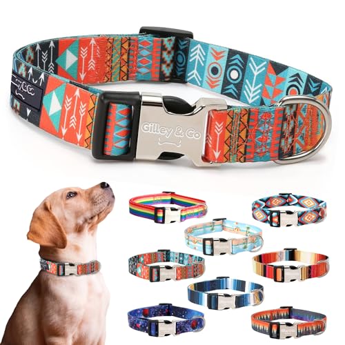 Gilley&Co Hundehalsband und Leine, 8 Designs, 4 Größen mit Edelstahl-Schnalle (Tribal Trails, klein) von Gilley & Co