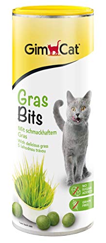 GimCat Gras Bits - Getreidefreier und vitaminreicher Katzensnack mit echtem Gras - 1 Dose (1 x 425 g) von GimCat