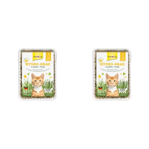 GimCat Hydro-Gras - Frisches Katzengras aus kontrolliertem Feldanbau in nur 5 bis 8 Tagen - 1 Schale (1 x 150 g) (Packung mit 2) von GimCat