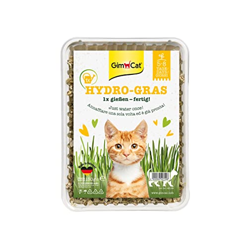 GimCat Hydro-Gras - Frisches Katzengras aus kontrolliertem Feldanbau in nur 5 bis 8 Tagen - 1 Schale (1 x 150 g) von GimCat