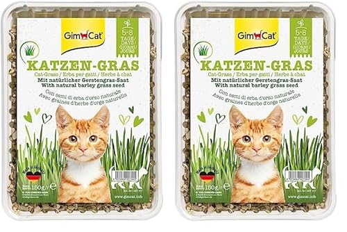 GimCat Katzengras 150g - Katzengras mit schneller Aufzucht in nur 5 bis 8 Tagen - 1 Schale (1 x 150 g) (Packung mit 2) von GimCat