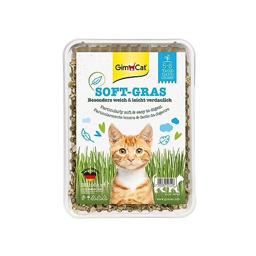 GimCat Soft-Gras - Zartes und vitaminreiches Katzengras mit schneller Aufzucht in nur 5 bis 8 Tagen - 1 Schale (1 x 100 g) von GimCat