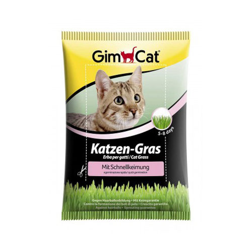 GimCat Katzen-Gras mit Schnellkeimung - 2 Stücke von Gimcat