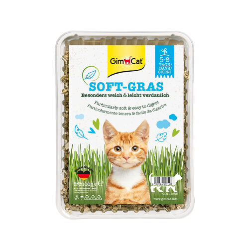 GimCat Katzengras - Vitaminreich - 100 g von Gimcat