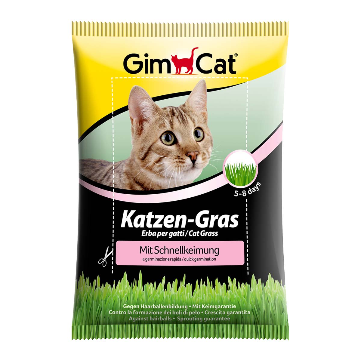 GimCat Katzengras mit Schnellkeimung 4x100g von Gimcat