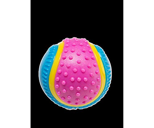 Gimborn sensorischen Spielzeug ball klein 5 cm Gimborn ES, Gummi, Hunde von Gimdog