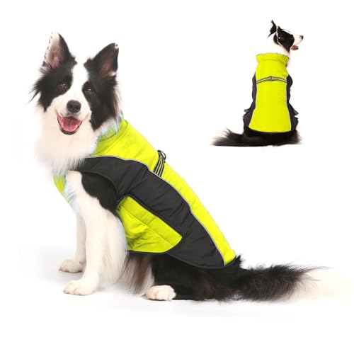 Hundejacke Winterweste Jacken Hundemantel Hundepullover Haustier Skifahren Kostüm Ärmellose Baumwolle Gepolsterte Weste für Welpen, kleine, mittelgroße und große Hunde Hundejacke Winterweste Jacken Hundemantel Hundepullover Haustier Skifahren Kostüm Ärmellose Baumwolle Gepolsterte Weste für Welpen, kleine, mittelgroße und große Hunde von Gimilife
