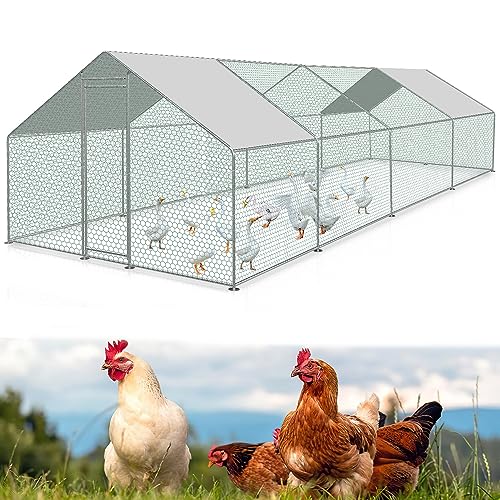 Gimisgu Hühnerstall Freilaufgehege mit Schloss, XL3x8x2m Verzinkter Stahl Kleintierstall Hühnerhaus Dach Geflügelstall mit Sonnenschutzdach und Tür, Stabilem Stahlrahmen Gimisgu Hühnerstall Freilaufgehege mit Schloss, XL3x8x2m Verzinkter Stahl Kleintierstall Hühnerhaus Dach Geflügelstall mit Sonnenschutzdach und Tür, Stabilem Stahlrahmen von Gimisgu