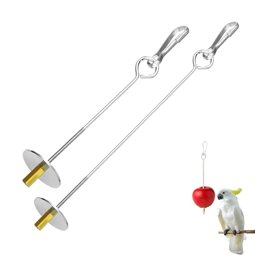 Ginddy 2 Stück Edelstahl Obstspieß Set Vogelzubehör | Futterhalter & Intelligenzspielzeug für Wellensittiche Nymphensittiche Rostfreier Futterspieß mit Gemüsehalterung(22cm +17cm) von Ginddy