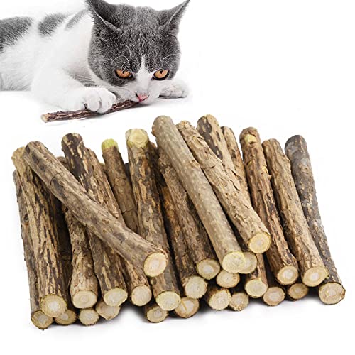 GingerUPer 30 Stück Katzenminze Sticks,Matatabi Katzen Kauhölzer, Matatabi-Kausticks als Katzenspielzeug, Katzenminze Sticks zum Schleifen von Zähnen, Matatabi Zahnpflege GingerUPer 30 Stück Katzenminze Sticks,Matatabi Katzen Kauhölzer, Matatabi-Kausticks als Katzenspielzeug, Katzenminze Sticks zum Schleifen von Zähnen, Matatabi Zahnpflege von GingerUPer
