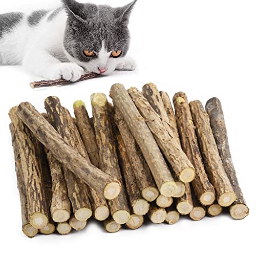 GingerUPer 30 Stück Katzenminze Sticks,Matatabi Katzen Kauhölzer, Matatabi-Kausticks als Katzenspielzeug, Katzenminze Sticks zum Schleifen von Zähnen, Matatabi Zahnpflege von GingerUPer