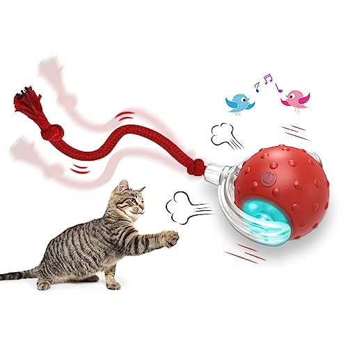 Giociv Interaktives Katzenspielzeug für Indoor-Katzen, schnelles Rollen auf Teppich, Zwitschern und Bewegungsaktivierung, Katzenspielzeug Giociv Interaktives Katzenspielzeug für Indoor-Katzen, schnelles Rollen auf Teppich, Zwitschern und Bewegungsaktivierung, Katzenspielzeug von Giociv