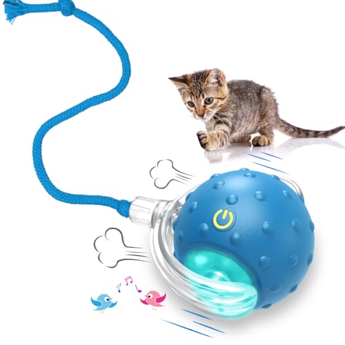 Giociv Katzenspielzeug, interaktiv, bewegungsaktiviert, zwitschernd, rollt super schnell auf Teppich, fröhliches Partyspiel mit Kätzchen, Blau Giociv Katzenspielzeug, interaktiv, bewegungsaktiviert, zwitschernd, rollt super schnell auf Teppich, fröhliches Partyspiel mit Kätzchen, Blau von Giociv