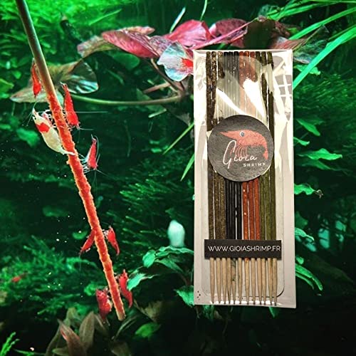 12er Set Original Mixed Lollies für Aquariengarnelen 🦐 / Futter für Aquariengarnelen 12er Set Original Mixed Lollies für Aquariengarnelen 🦐 / Futter für Aquariengarnelen von Gioia SHRIMP