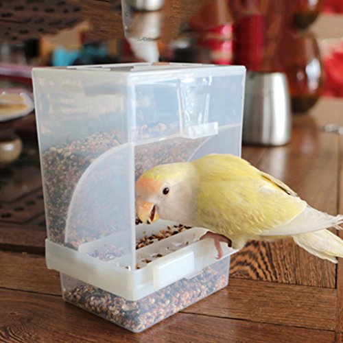 Girasool Automatischer Futterspender für Papageien, kein Chaos, Acryl-Lebensmittelbehälter, Käfigzubehör für Wellensittiche, Kanarienvögel, Nymphensittiche, Finken, Sittiche, Samen, 1 Stück Girasool Automatischer Futterspender für Papageien, kein Chaos, Acryl-Lebensmittelbehälter, Käfigzubehör für Wellensittiche, Kanarienvögel, Nymphensittiche, Finken, Sittiche, Samen, 1 Stück von Girasool