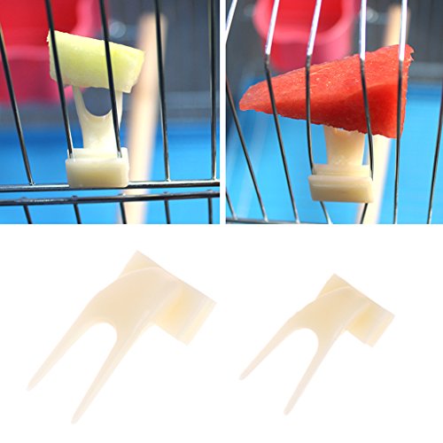 Girasool Papageien-Frischgabel aus Kunststoff, für Papageien, Vogelkäfig-Zubehör, Vogelfutter-Halter mit Stift-Clip, für Kleintier-Futterstation (S: 3 x 1,5 cm) von Girasool