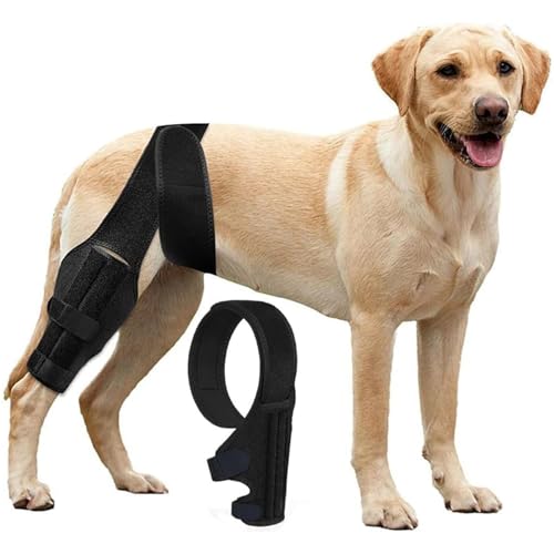 Girlove Hunde-Kniebandage Zur Unterstützung Bei Kreuzbandverletzungen, Gelenkschmerzen Und Muskelkater, Bessere Erholung Mit Hunde Kniebandage, Verstellbare Hinterbeinbandagen Für Hunde,L Girlove Hunde-Kniebandage Zur Unterstützung Bei Kreuzbandverletzungen, Gelenkschmerzen Und Muskelkater, Bessere Erholung Mit Hunde Kniebandage, Verstellbare Hinterbeinbandagen Für Hunde,L von Girlove