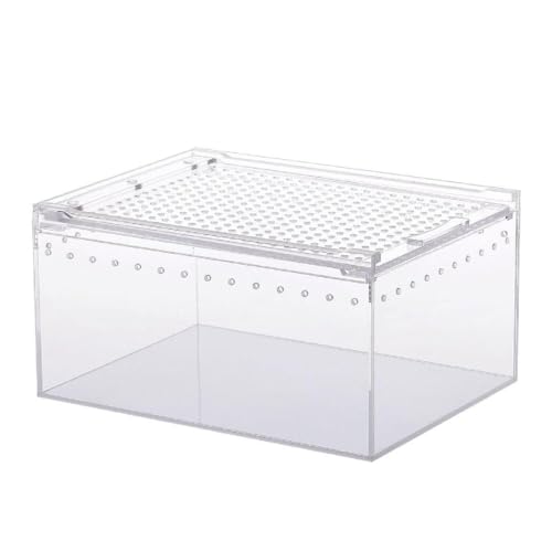 Box Feeding Small Pet Horned Eidechsen Schnecke Schlange Clear Designed Box Geckos Seidenraupen Schlangenhaus Box Shelter Box Shelter Box Acryl Box Verstecken von Gissroys