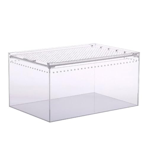 Box Feeding Small Pet Horned Eidechsen Schnecke Schlange Clear Designed Box Geckos Seidenraupen Schlangenhaus Box Shelter Box Shelter Box Acryl Box Verstecken Box Feeding Small Pet Horned Eidechsen Schnecke Schlange Clear Designed Box Geckos Seidenraupen Schlangenhaus Box Shelter Box Shelter Box Acryl Box Verstecken von Gissroys