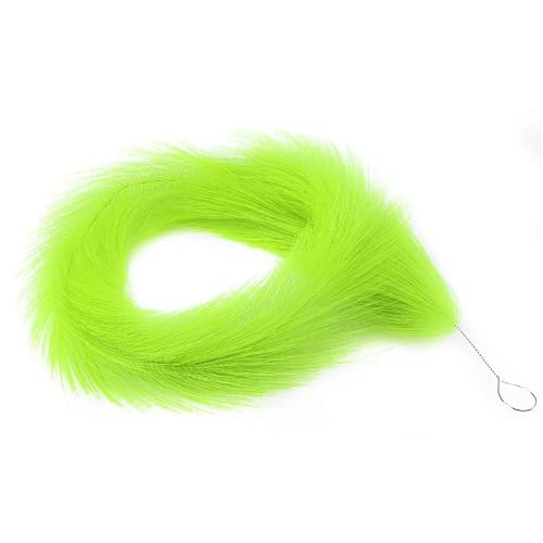 Gissroys Hochleistungs Plastik Laich Gras 60 Cm/100 cm Länge Optimiert Für Aquariumfische Eier Sammeln Aquarium Zuchtzubehör Für Eier Gissroys Hochleistungs Plastik Laich Gras 60 Cm/100 cm Länge Optimiert Für Aquariumfische Eier Sammeln Aquarium Zuchtzubehör Für Eier von Gissroys
