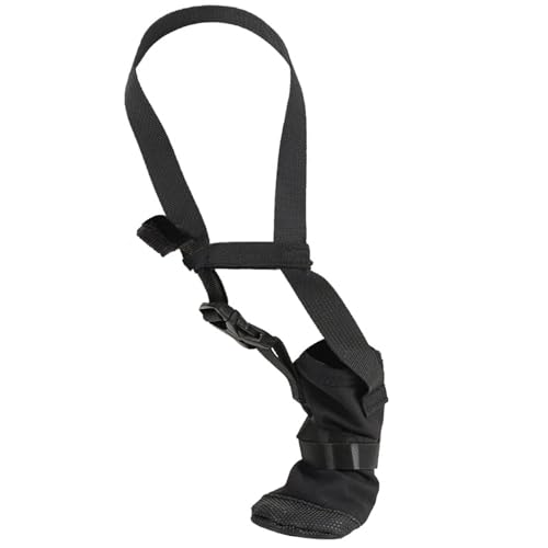 Gissroys Hund Vorderpaw Recovery Atmungsaktivem Substoftiefel Wasserbeständiger Pfoten Schutzstiefel Für Verletzte Pfoten Lickingsicheres Heilungsstiefel Gissroys Hund Vorderpaw Recovery Atmungsaktivem Substoftiefel Wasserbeständiger Pfoten Schutzstiefel Für Verletzte Pfoten Lickingsicheres Heilungsstiefel von Gissroys