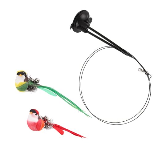 Gissroys Intelligente Katzen Trainingssysteme Mit Realistischer Federvögel Bewegungssimulation Und Sichern Saugnapfbasis Katzen Stimulationsspielzeug Gissroys Intelligente Katzen Trainingssysteme Mit Realistischer Federvögel Bewegungssimulation Und Sichern Saugnapfbasis Katzen Stimulationsspielzeug von Gissroys