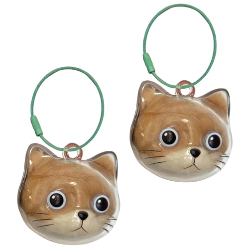 Gissroys Klare Katzen Kopfform Haare Heeesakes Pelze Aufbewahrungsbox Schlüsselanhänger Für Pet Memorial Schmuck Anhänger Mit Metallringen Klare Pelze Aufbewahrungsbox von Gissroys