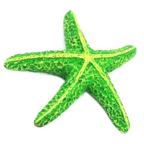 Gissroys Kreative Hexagonale Dekoration Farbenfrohe Simulation Korallen Aquarien Ornamente Für Aquarien Enthusiasten Und Experten Wasserfeste Fischtanks Accessoire Gissroys Kreative Hexagonale Dekoration Farbenfrohe Simulation Korallen Aquarien Ornamente Für Aquarien Enthusiasten Und Experten Wasserfeste Fischtanks Accessoire von Gissroys