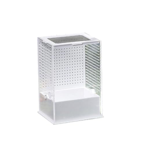 Transparente Acryl-Mini-Tanks für Eidechsen, Einsiedler, Krabben, Geckos, Frösche, Mini-Gehege, Zuchtbox, Terrarienkäfig Transparente Acryl-Mini-Tanks für Eidechsen, Einsiedler, Krabben, Geckos, Frösche, Mini-Gehege, Zuchtbox, Terrarienkäfig von Gissroys