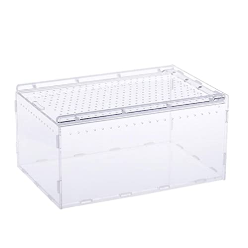 Transparente Acryl-Mini-Tanks für Eidechsen, Einsiedler, Krabben, Geckos, Frösche, Mini-Gehege, Zuchtbox, Terrarienkäfig Transparente Acryl-Mini-Tanks für Eidechsen, Einsiedler, Krabben, Geckos, Frösche, Mini-Gehege, Zuchtbox, Terrarienkäfig von Gissroys