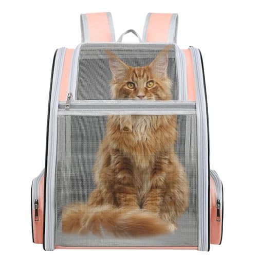 Cat Backpack Carrier, Pet Backpack, Breathable Portable Non-Slip Bottom, Foldable Travel Bag, Large Skylight for Small Dogs, Cats, Carried, Preventing Pets von Gitekain