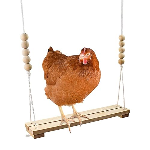Chicken Swing, Natural Wood Poultry Swing, Sturdy Design for Chicks and Hens, Backyard Coop Habitat, Jungle Starter, Home Producers, Patio, 15.55x2.76x43.31 inches Chicken Swing, Natural Wood Poultry Swing, Sturdy Design for Chicks and Hens, Backyard Coop Habitat, Jungle Starter, Home Producers, Patio, 15.55x2.76x43.31 inches von Gitekain