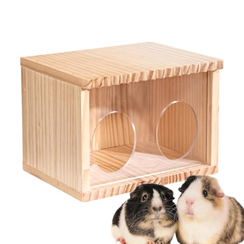 Hamsterkäfig aus, Rennmaushaus - Kleines Hamsterheim für Rennmäuse | Kreatives Kleintierversteck, Käfigzubehör, Chinchilla-Hütten für Zwerghamster, Rennmäuse, Mäuse, Goldener Bär Hamsterkäfig aus, Rennmaushaus - Kleines Hamsterheim für Rennmäuse | Kreatives Kleintierversteck, Käfigzubehör, Chinchilla-Hütten für Zwerghamster, Rennmäuse, Mäuse, Goldener Bär von Gitekain