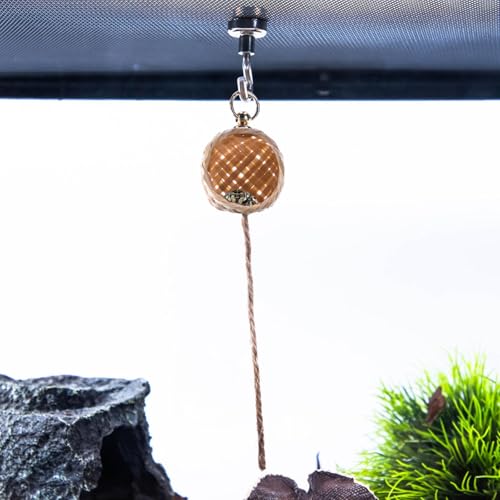 Jumping Spider Hide, Handmade Spider Enclosure, Natural Small Animal Cage Decoration, Perfect Shelter for Tarantulas, Reptiles, and Invertebrates in Home, Outdoor Jumping Spider Hide, Handmade Spider Enclosure, Natural Small Animal Cage Decoration, Perfect Shelter for Tarantulas, Reptiles, and Invertebrates in Home, Outdoor von Gitekain
