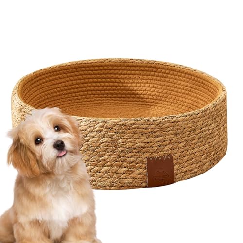 Katzenkorbbett, Geflochtenes Katzenbett, Katzenliege, Hundebett Aus Korbgeflecht, Katzenkratzbrett, Gemütliches Kätzchenbett, Bett Für Kleine Haustiere, Katzenkratzbett, Haustiermöbelkorb Für Kratzend Katzenkorbbett, Geflochtenes Katzenbett, Katzenliege, Hundebett Aus Korbgeflecht, Katzenkratzbrett, Gemütliches Kätzchenbett, Bett Für Kleine Haustiere, Katzenkratzbett, Haustiermöbelkorb Für Kratzend von Gitekain