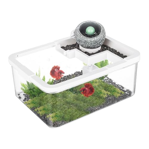 Kleines Aquarium, Landschafts-Tanks, Schildkröten, Desktop-Hydrokultur-Aquarium mit USB-Pumpe und Licht, kompaktes Aquaponik-Setup für Quallen, Bücherregal, Krankenhaus, Büro, 29 x 22 x 12 cm Kleines Aquarium, Landschafts-Tanks, Schildkröten, Desktop-Hydrokultur-Aquarium mit USB-Pumpe und Licht, kompaktes Aquaponik-Setup für Quallen, Bücherregal, Krankenhaus, Büro, 29 x 22 x 12 cm von Gitekain