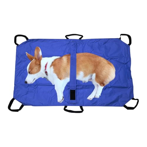 Pet Stretcher, Transport Stretcher, Multifunctional Foldable Design, Patient Puppy Transfer Rescue Tool with Safety Strap for Medium, Large, Bunny Cat, 47.24x29.13x1.18 inches Pet Stretcher, Transport Stretcher, Multifunctional Foldable Design, Patient Puppy Transfer Rescue Tool with Safety Strap for Medium, Large, Bunny Cat, 47.24x29.13x1.18 inches von Gitekain