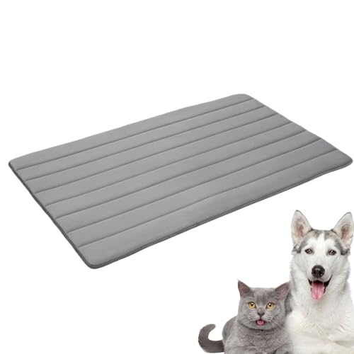 Rutschfeste Hundematten, waschbare Kühlunterlage für Welpen, Hundehütte, weiches Flanell-Haustiermatte für Zuhause, Auto, Camping, 61 x 47 x 2 cm, klein, groß, grau Rutschfeste Hundematten, waschbare Kühlunterlage für Welpen, Hundehütte, weiches Flanell-Haustiermatte für Zuhause, Auto, Camping, 61 x 47 x 2 cm, klein, groß, grau von Gitekain