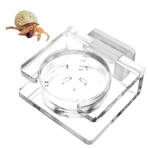 Spinne Futternapf Magnetischer Futternapf Transparente Acrylschale Gehäuse Zubehör für Spinnen Kleine Spinne Futternapf Vogelspinne Futternapf Magnetische Spinnennapf Easy Clean Futternapf Spinne Futternapf Magnetischer Futternapf Transparente Acrylschale Gehäuse Zubehör für Spinnen Kleine Spinne Futternapf Vogelspinne Futternapf Magnetische Spinnennapf Easy Clean Futternapf von Gitekain