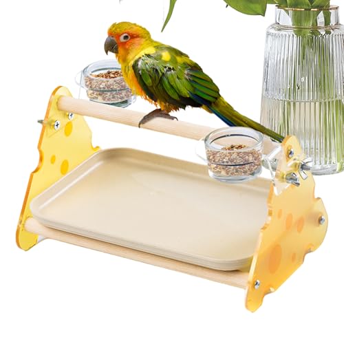 Vogel-Trainingsständer, Papageien-Tisch-Übung, Fitnessstudio, Schreibtisch-Vogel mit herausnehmbarem Tablett für Sittiche, Sittiche, Sittiche, Lovebirds und Finken, 24,8 x 17 x 15,4 cm Vogel-Trainingsständer, Papageien-Tisch-Übung, Fitnessstudio, Schreibtisch-Vogel mit herausnehmbarem Tablett für Sittiche, Sittiche, Sittiche, Lovebirds und Finken, 24,8 x 17 x 15,4 cm von Gitekain