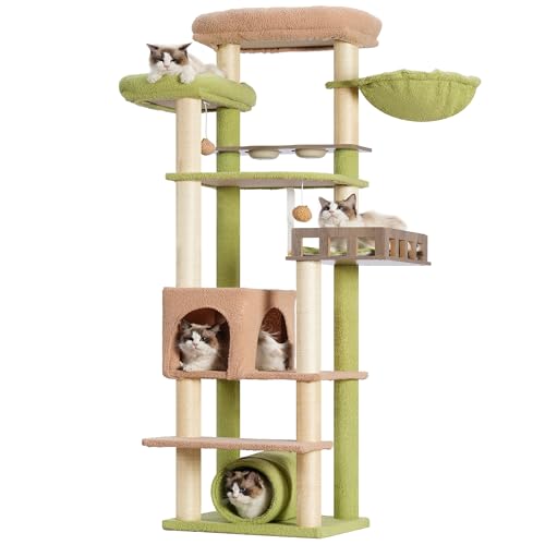 Gitelsnour Katzenbaum mit Tunnel, Katzenturm für Indoor-Katzen, hoher Kaktus-Katzenbaumturm mit Katzenhütte, Futterstation, große Plattform, Kratzbäume, Hängematte, Grün und Gelb GCT021GY Gitelsnour Katzenbaum mit Tunnel, Katzenturm für Indoor-Katzen, hoher Kaktus-Katzenbaumturm mit Katzenhütte, Futterstation, große Plattform, Kratzbäume, Hängematte, Grün und Gelb GCT021GY von Gitelsnour