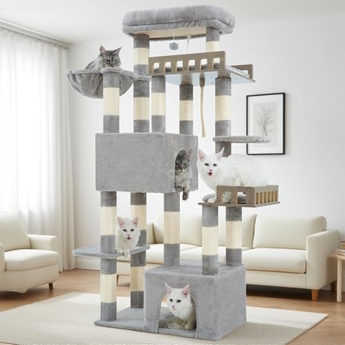 Gitelsnour Maine Coon Kratzbaum, robuster Katzenbaum für Indoor-Katzen, große Erwachsene, Katzenturm für große Katzen, 9 kg + mit Hängematte, 2 große Sitzstangen, 2 Katzenhütten, 15 Kratzstämme Gitelsnour Maine Coon Kratzbaum, robuster Katzenbaum für Indoor-Katzen, große Erwachsene, Katzenturm für große Katzen, 9 kg + mit Hängematte, 2 große Sitzstangen, 2 Katzenhütten, 15 Kratzstämme von Gitelsnour