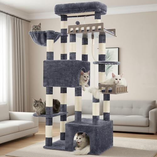 Gitelsnour Maine Coon Kratzbaum, robuster Katzenbaum für Indoor-Katzen, große Erwachsene, Katzenturm für große Katzen, 9 kg + mit Hängematte, 2 große Sitzstangen, 2 Katzenhütten, 15 Kratzstämme Gitelsnour Maine Coon Kratzbaum, robuster Katzenbaum für Indoor-Katzen, große Erwachsene, Katzenturm für große Katzen, 9 kg + mit Hängematte, 2 große Sitzstangen, 2 Katzenhütten, 15 Kratzstämme von Gitelsnour