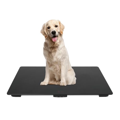 Giuffrida 80 x 50 cm Digitale Hundewaage,0-100KG Tierarztwaage für mittelgroße Hunde und große Katzen,Genauigkeit: 10g,mit Rutschfester Matte,LCD Display mit Haltefunktion,Hochpräzises Wiegen Giuffrida 80 x 50 cm Digitale Hundewaage,0-100KG Tierarztwaage für mittelgroße Hunde und große Katzen,Genauigkeit: 10g,mit Rutschfester Matte,LCD Display mit Haltefunktion,Hochpräzises Wiegen von Giuffrida
