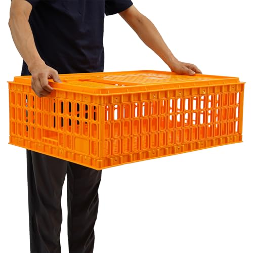 Sintuff 2 Geflügeltrage Kiste Kunststoff Huhn Transportkäfig,77x55x27cm,für Geflügel Huhn Vogel Ente Gans,maximale tragkraft ca. 200 kg,Vogelträger Hühnerträger Reisekiste Box Sintuff 2 Geflügeltrage Kiste Kunststoff Huhn Transportkäfig,77x55x27cm,für Geflügel Huhn Vogel Ente Gans,maximale tragkraft ca. 200 kg,Vogelträger Hühnerträger Reisekiste Box von Giuffrida