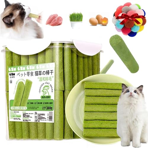 Giurui Berdexa Cat Grass Teething Stick, Cat Grass Sticks, Cat Grass Sticks, Grass Teething Stick Hairballs for Hairball Removal, Cadental Care (60Pcs) von Giurui